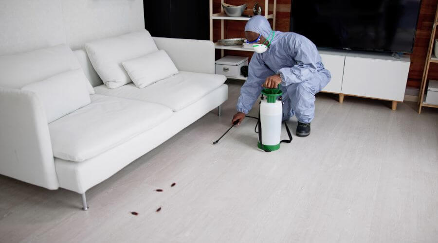 Why choose APC River Rouge for apartment pest control in River Rouge